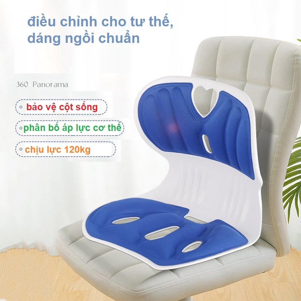 Ghế Công Thái Học Hỗ Trợ Lưng