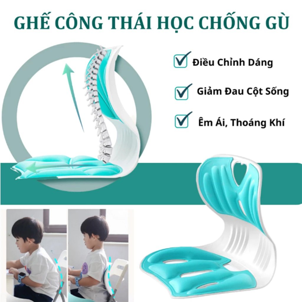 Ghế Công Thái Học Hỗ Trợ Lưng