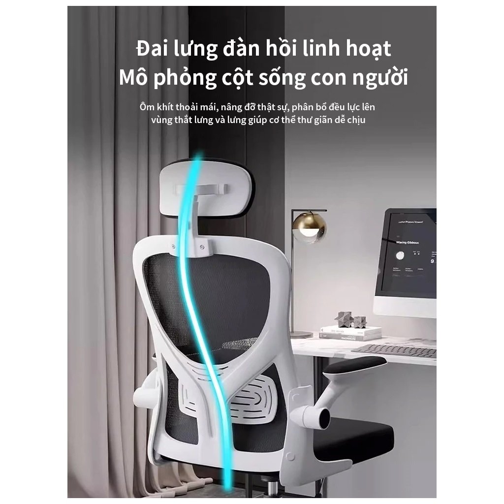 Ghế Văn Phòng AIODIY Công Thái Học