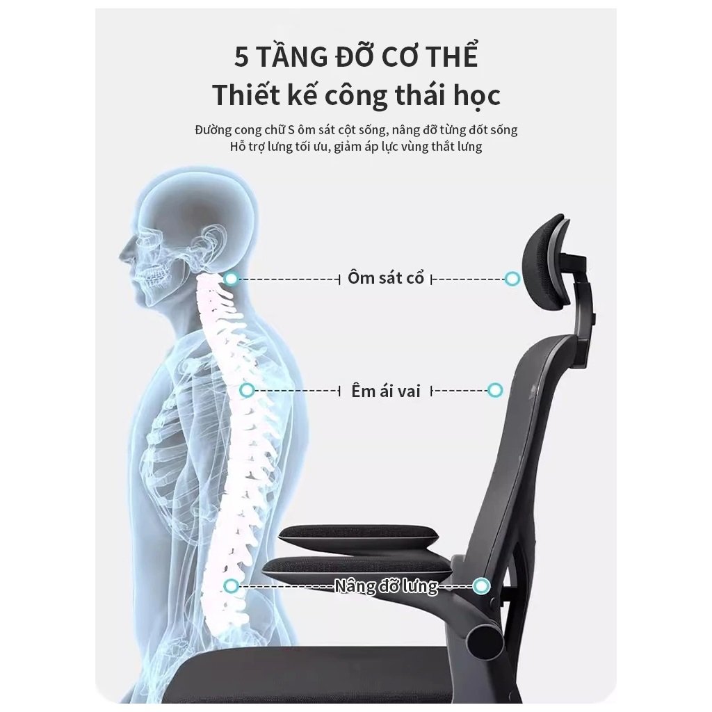 Ghế Văn Phòng AIODIY Công Thái Học