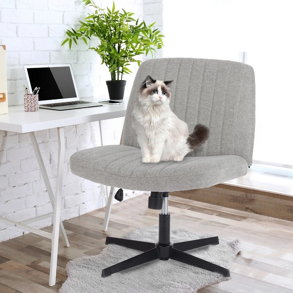 Ghế Bàn Làm Việc Hiện Đại Fanrix Chair