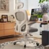 Ghế Văn Phòng Công Thái Học IB Ergonomic Chair