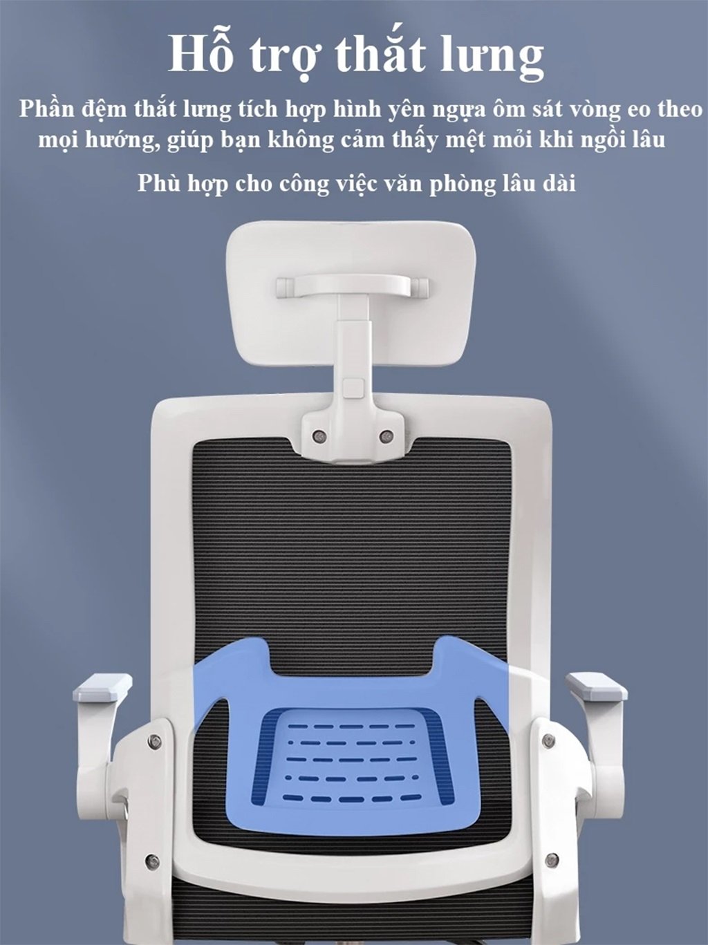 Ghế Xoay Văn Phòng Công Thái Học Giá Rẻ