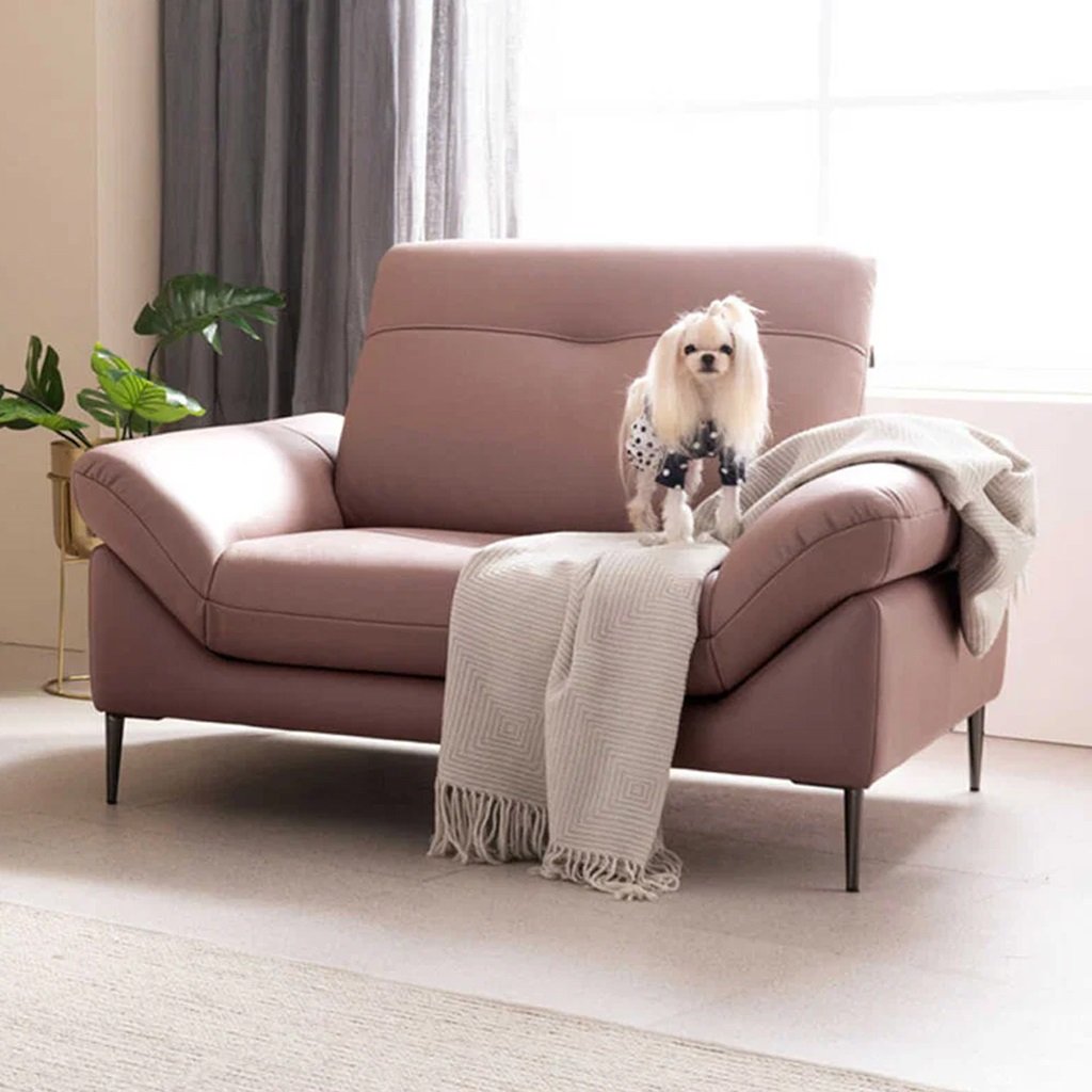 Sofa đơn hiện đại