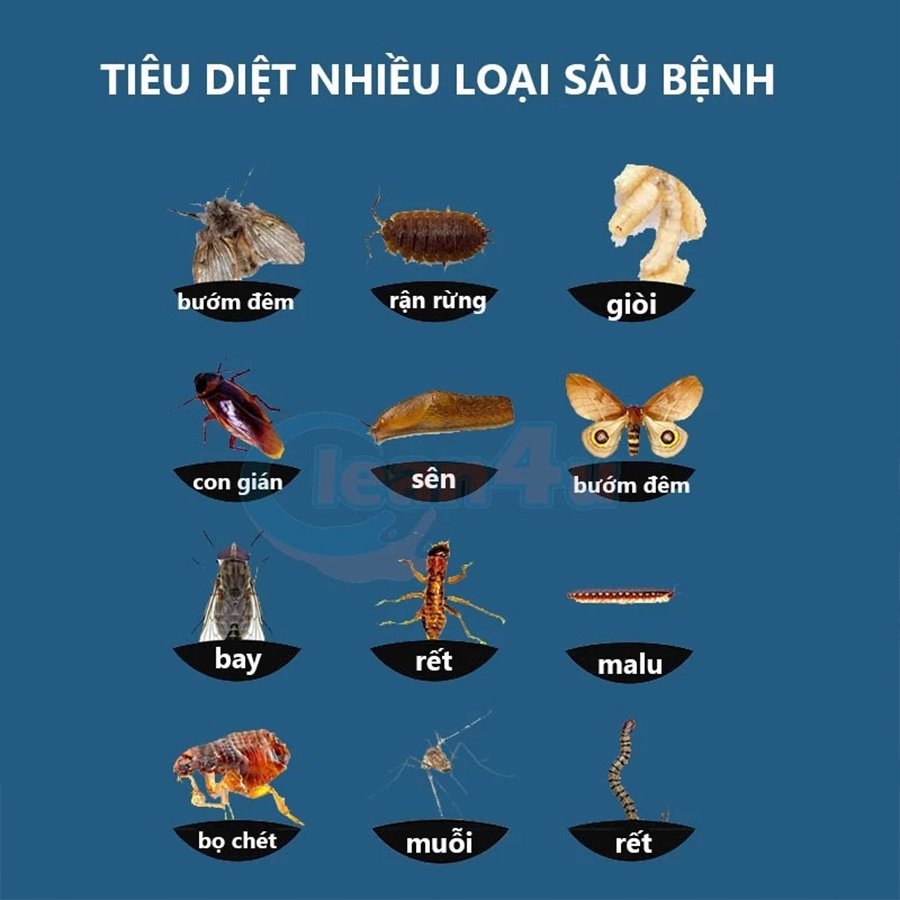 Dung Dịch Diệt Côn Trùng Lỗ Thoát Sàn Nhà Tắm, Nhà Bếp 500ml